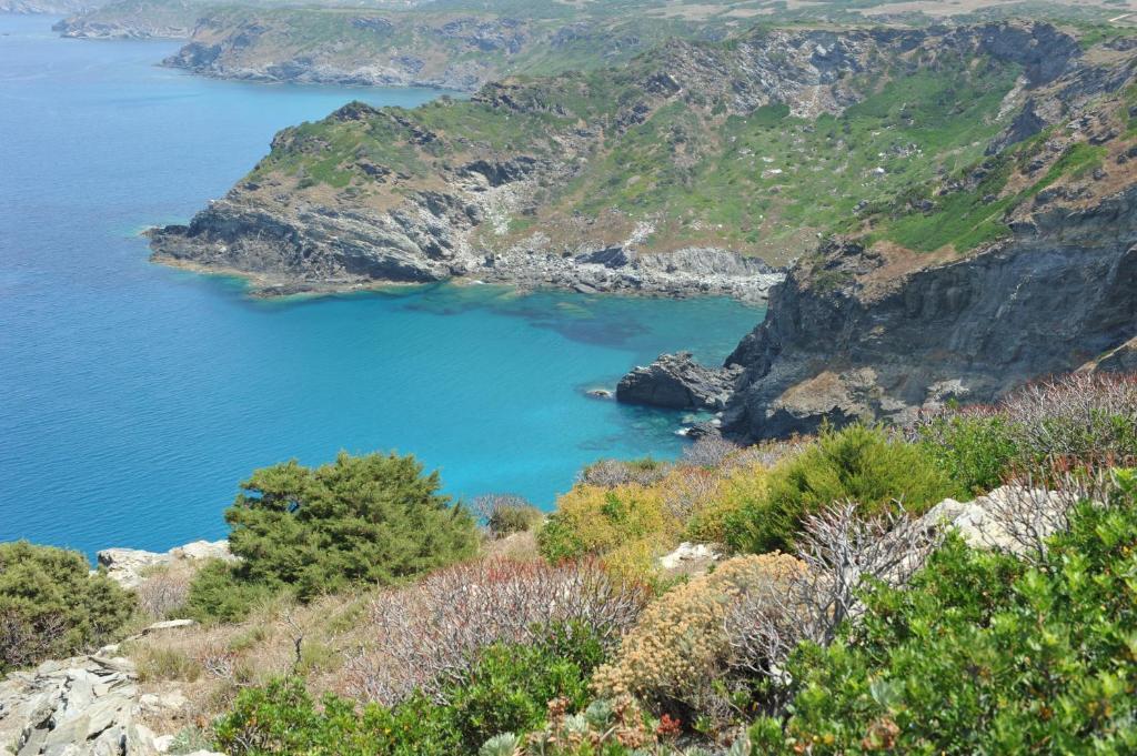 Agriturismo Finagliosu Palmadula Bagian luar foto