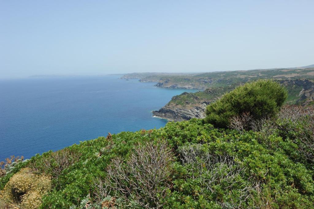 Agriturismo Finagliosu Palmadula Bagian luar foto