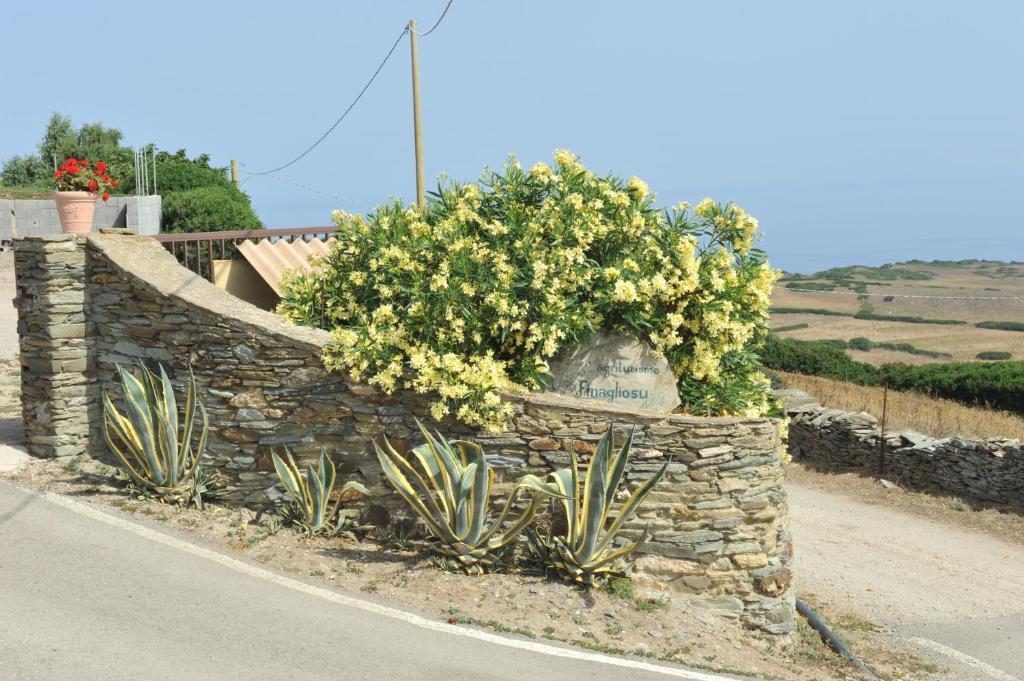 Agriturismo Finagliosu Palmadula Bagian luar foto